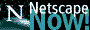 Netscape Icon